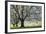 Meadow, Cherry Trees, Blossom-Herbert Kehrer-Framed Photographic Print