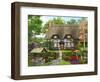 Meadow Cottage-Dominic Davison-Framed Art Print