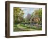 Meadow Cottages-Dominic Davison-Framed Art Print