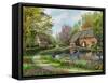 Meadow Cottages-Dominic Davison-Framed Stretched Canvas