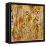 Meadow Dance II-Carol Black-Framed Stretched Canvas