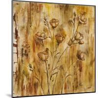 Meadow Dance II-Carol Black-Mounted Art Print