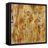 Meadow Dance II-Carol Black-Framed Stretched Canvas