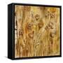 Meadow Dance II-Carol Black-Framed Stretched Canvas