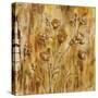 Meadow Dance II-Carol Black-Stretched Canvas