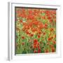 Meadow Drift-Malva-Framed Giclee Print