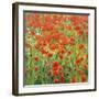 Meadow Drift-Malva-Framed Giclee Print