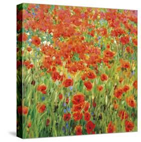 Meadow Drift-Malva-Stretched Canvas