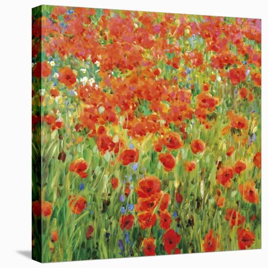 Meadow Drift-Malva-Stretched Canvas