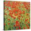 Meadow Drift-Malva-Stretched Canvas