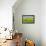 Meadow Early Autumn-Robert Goldwitz-Framed Stretched Canvas displayed on a wall