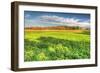 Meadow Early Autumn-Robert Goldwitz-Framed Photographic Print