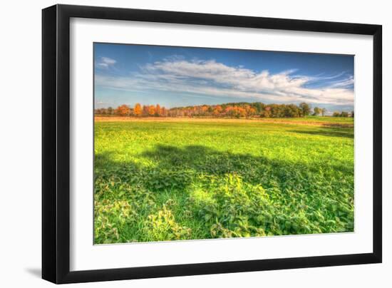 Meadow Early Autumn-Robert Goldwitz-Framed Photographic Print