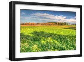 Meadow Early Autumn-Robert Goldwitz-Framed Photographic Print