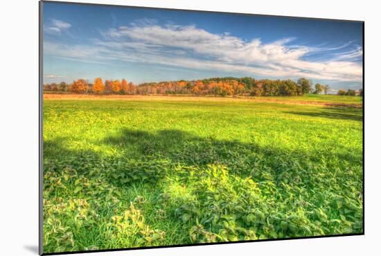 Meadow Early Autumn-Robert Goldwitz-Mounted Photographic Print