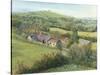 Meadow Farm Cottage, 1999-Antonia Myatt-Stretched Canvas