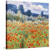 Meadow Farm-Malva-Stretched Canvas