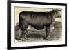 Meadow Farm-Stephanie Monahan-Framed Giclee Print