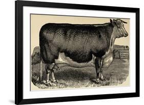 Meadow Farm-Stephanie Monahan-Framed Giclee Print