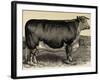 Meadow Farm-Stephanie Monahan-Framed Art Print