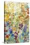 Meadow Floral I-Tim OToole-Stretched Canvas