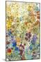 Meadow Floral I-Tim OToole-Mounted Art Print