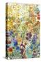 Meadow Floral I-Tim OToole-Stretched Canvas