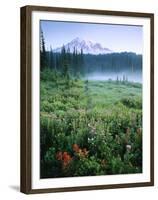 Meadow Flowers, Mt Rainier National Park, Washington, USA-Stuart Westmorland-Framed Premium Photographic Print