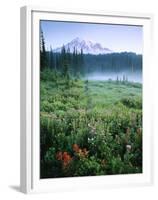 Meadow Flowers, Mt Rainier National Park, Washington, USA-Stuart Westmorland-Framed Premium Photographic Print