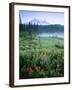 Meadow Flowers, Mt Rainier National Park, Washington, USA-Stuart Westmorland-Framed Premium Photographic Print