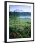 Meadow Flowers, Mt Rainier National Park, Washington, USA-Stuart Westmorland-Framed Premium Photographic Print