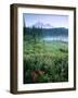 Meadow Flowers, Mt Rainier National Park, Washington, USA-Stuart Westmorland-Framed Photographic Print