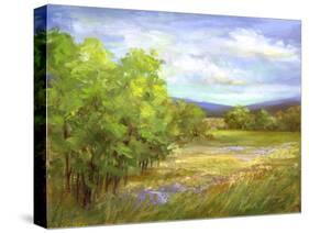 Meadow Flowers-Sheila Finch-Stretched Canvas