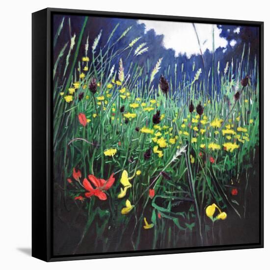 Meadow glory, 2015,-Helen White-Framed Stretched Canvas