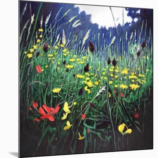 Meadow glory, 2015,-Helen White-Mounted Giclee Print