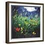 Meadow glory, 2015,-Helen White-Framed Giclee Print