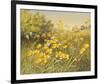 Meadow Gold-Mary Dipnall-Framed Giclee Print