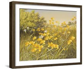 Meadow Gold-Mary Dipnall-Framed Giclee Print