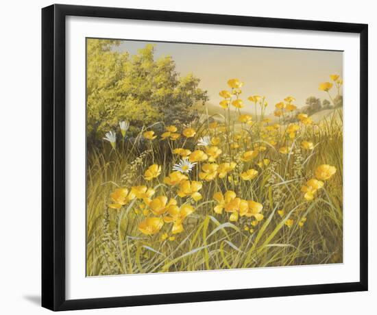 Meadow Gold-Mary Dipnall-Framed Giclee Print