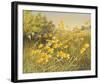 Meadow Gold-Mary Dipnall-Framed Giclee Print