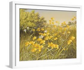 Meadow Gold-Mary Dipnall-Framed Giclee Print