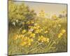 Meadow Gold-Mary Dipnall-Mounted Giclee Print