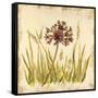 Meadow Grasses-Bella Dos Santos-Framed Stretched Canvas