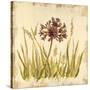 Meadow Grasses-Bella Dos Santos-Stretched Canvas