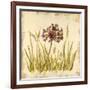 Meadow Grasses-Bella Dos Santos-Framed Art Print