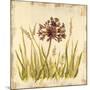 Meadow Grasses-Bella Dos Santos-Mounted Art Print