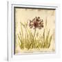 Meadow Grasses-Bella Dos Santos-Framed Art Print