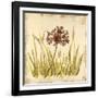 Meadow Grasses-Bella Dos Santos-Framed Art Print