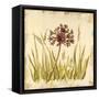 Meadow Grasses-Bella Dos Santos-Framed Stretched Canvas