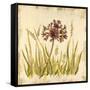 Meadow Grasses-Bella Dos Santos-Framed Stretched Canvas